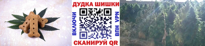 где найти наркотики  Бабушкин  Canna-Cookies марихуана 