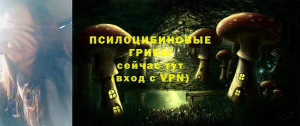 спайс Алексин