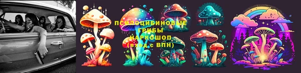 спайс Алексин