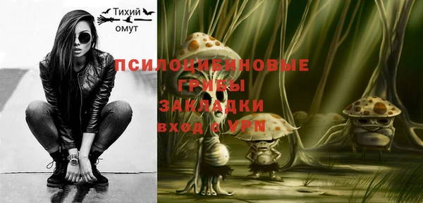 спайс Алексин