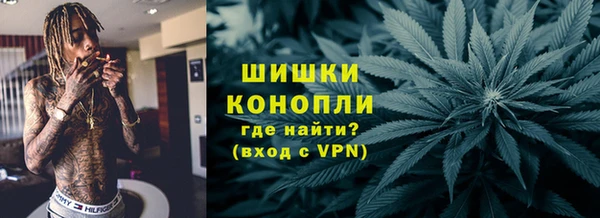 Альфа ПВП Аркадак