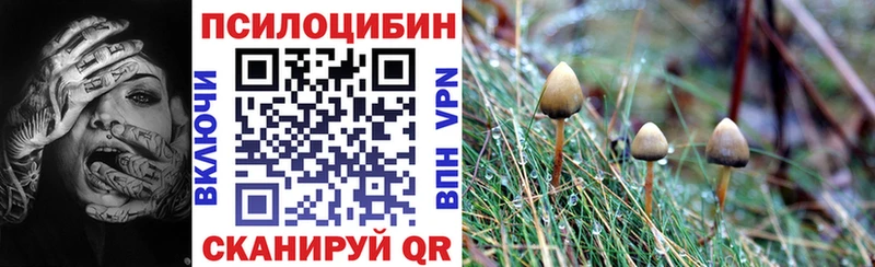 Псилоцибиновые грибы MAGIC MUSHROOMS  Бабушкин 