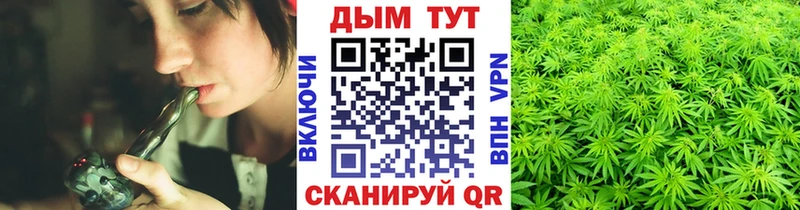 дарк нет телеграм  Бабушкин  Конопля индика 